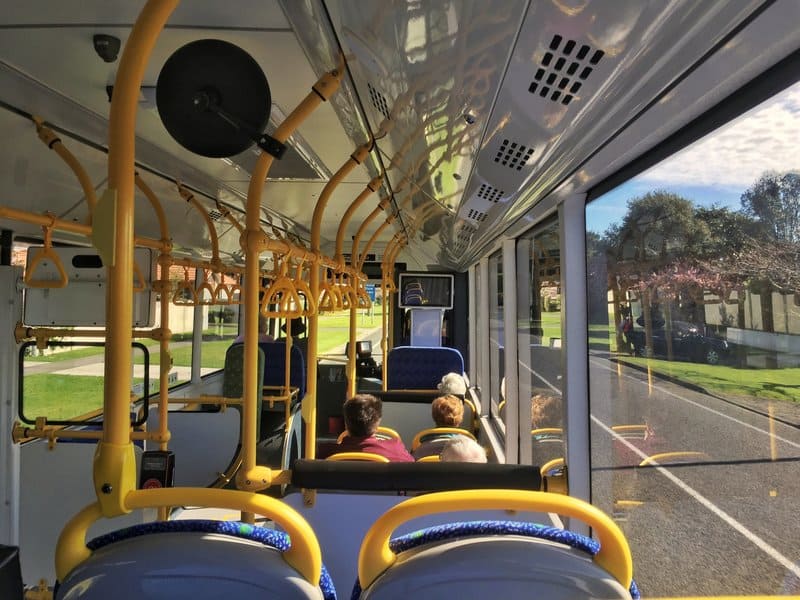 public bus new zealand