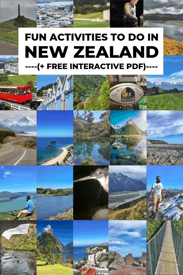 what to do in new zealand