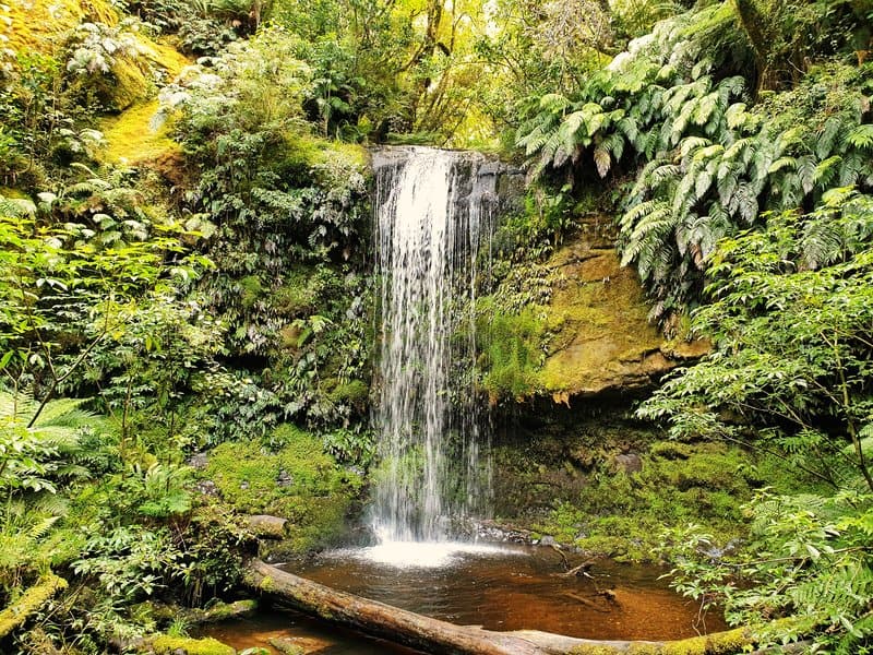 koropuku waterfall catlins