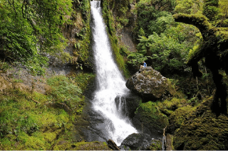 waipohatu falls
