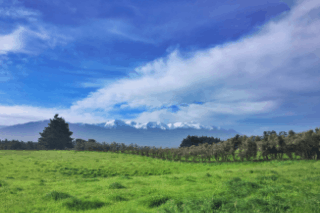 kaikoura peninsula walkway home