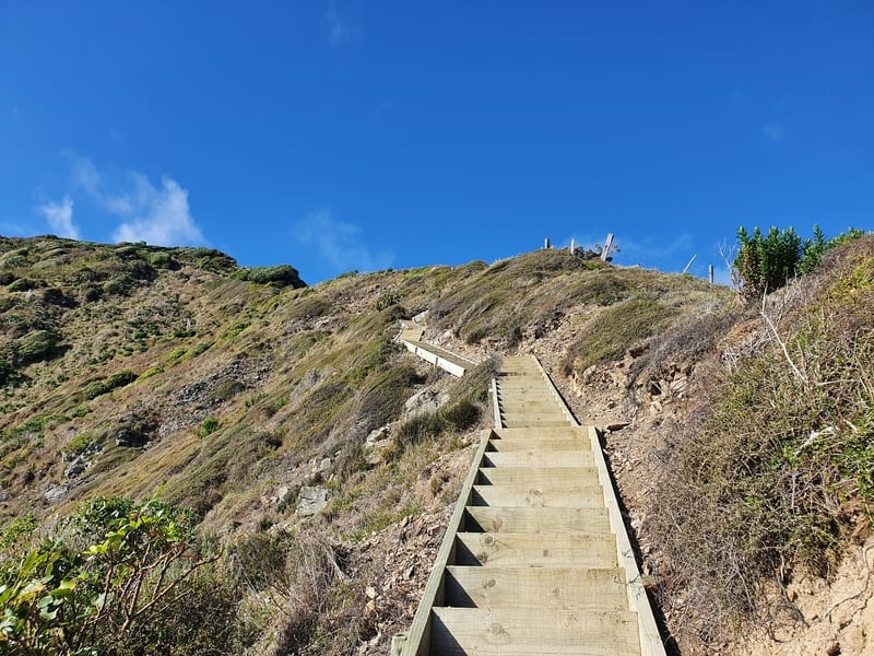 paekakariki escarpment track stairs