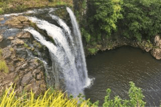 whangarei falls homepage