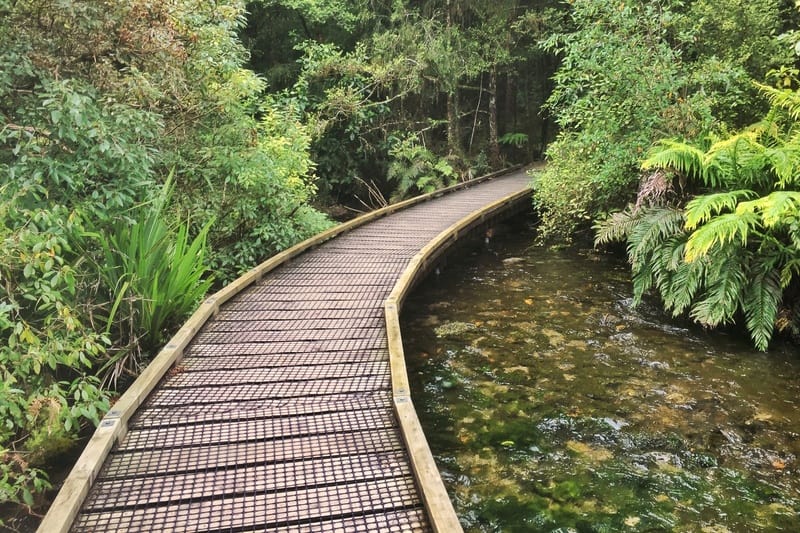 boardwalk leading to the springs