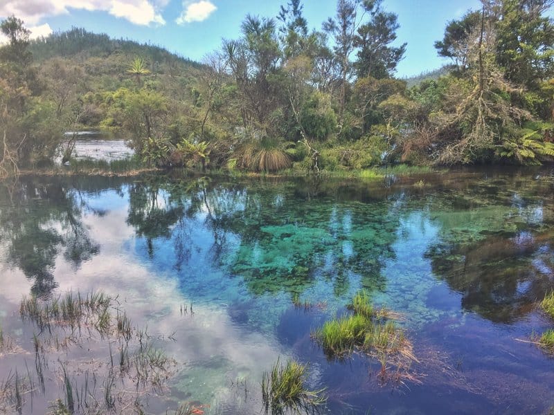 view of the waters in the te pupu springs golden bay 