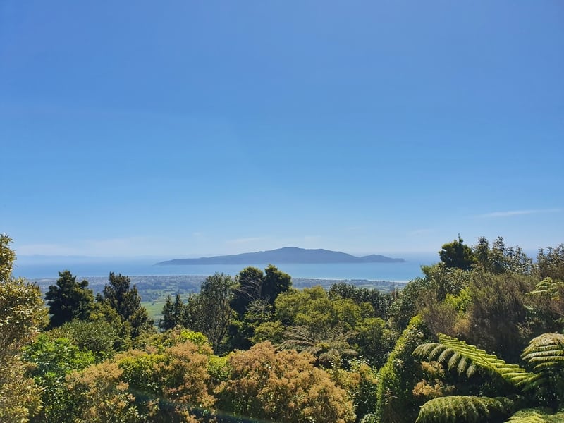 view of kapiti island over the bushline