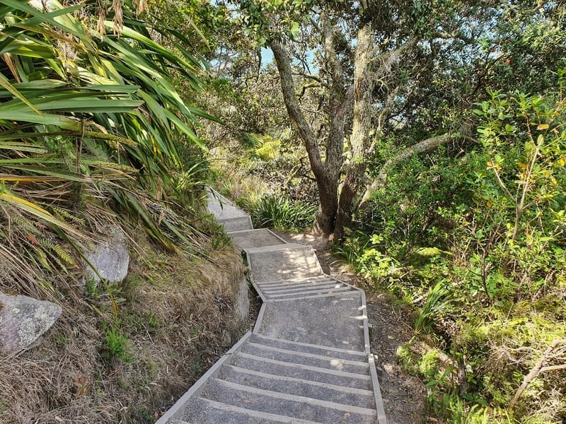 stairs on a descent surrounded by bush