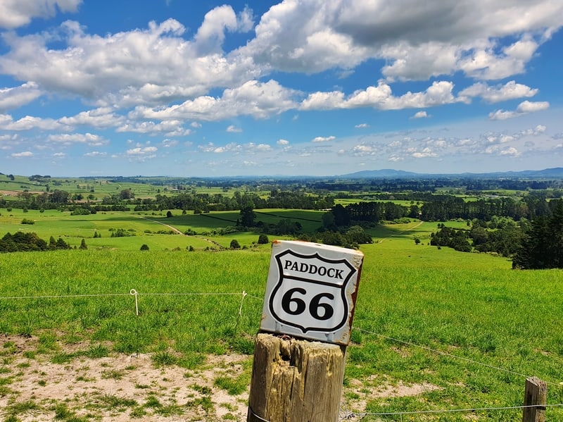 a view of the countryside with a sign saying paddock66