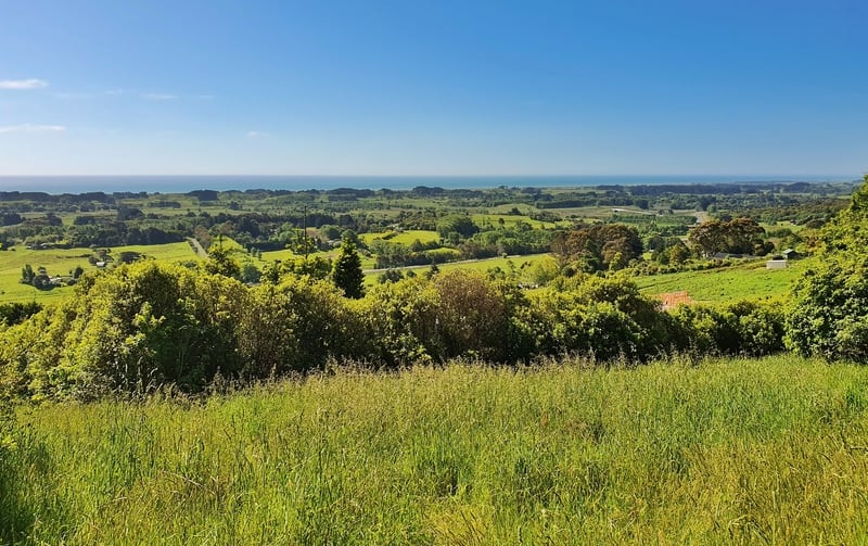 grassy hill and blue sky from the hemi matenga scenic reserve