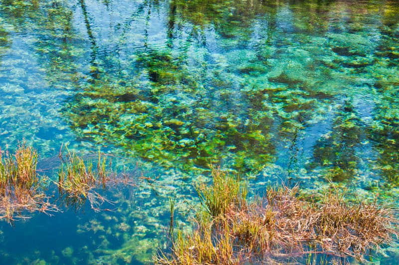 upclose photo of the springs showing the clarity