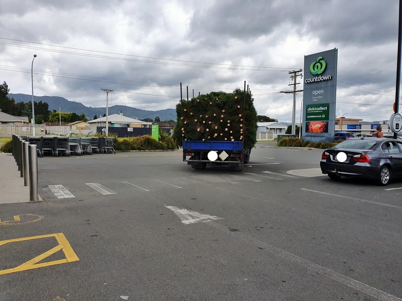 christmas trees on the back of a truck