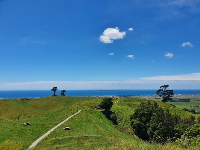 beautiful view of papamoa hills greenery