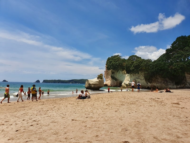 lot sof people on Cathedral Cove Beach
