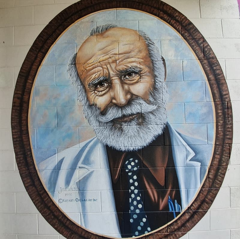 portrait mural of katikatis famous doctor, Dr Joe