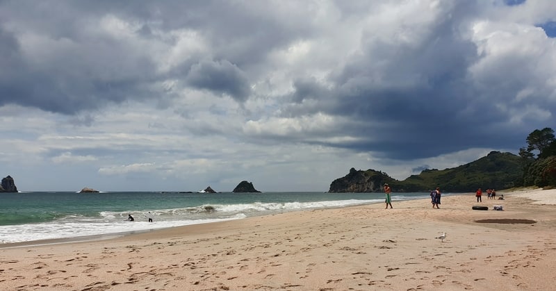 hahei beach