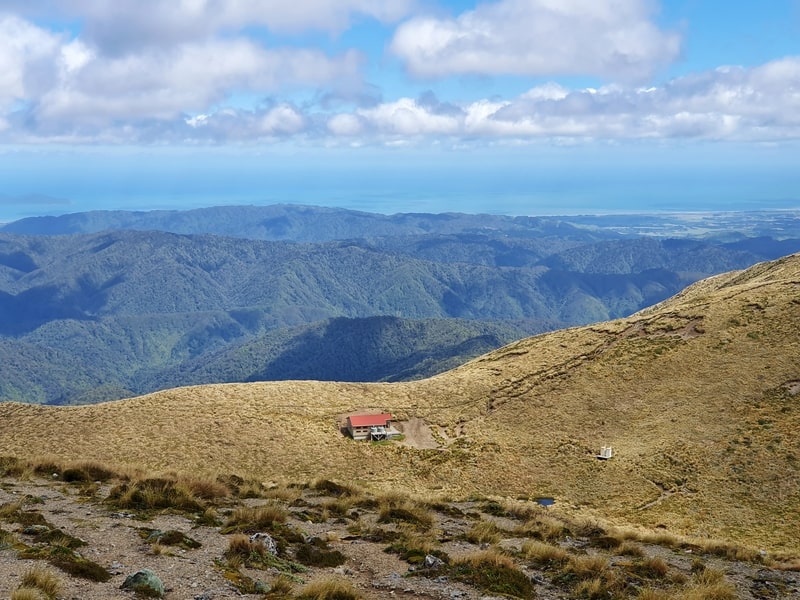 kime hut in the middle of the photo surrounded by tussock