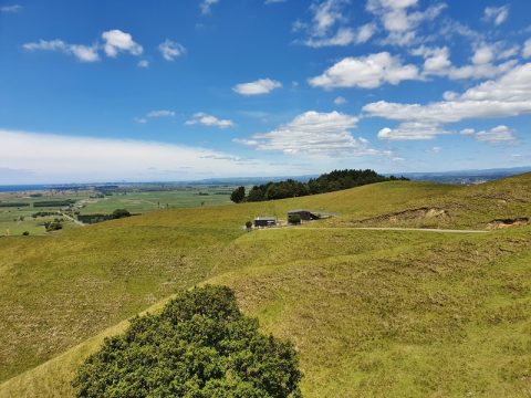 PAPAMOA HILLS WALK: MY EXPERIENCE & ROUTE | CHUR NEW ZEALAND