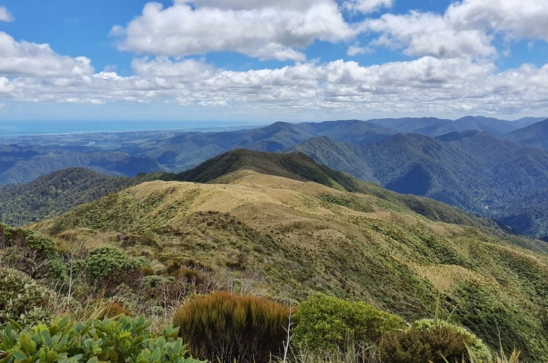 views of the tararua ranges