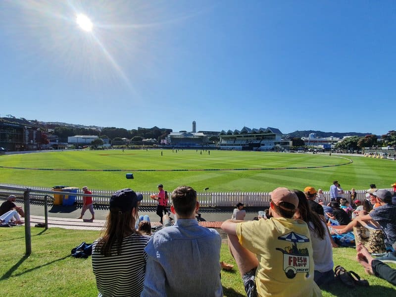 people watching cricket at the basin reserve on a sunny day
