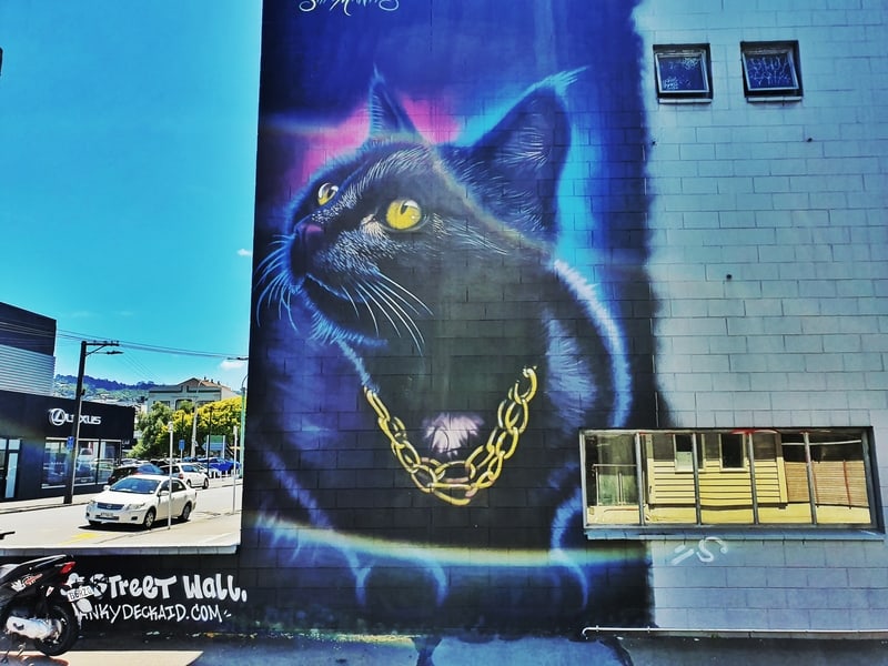 cat street art