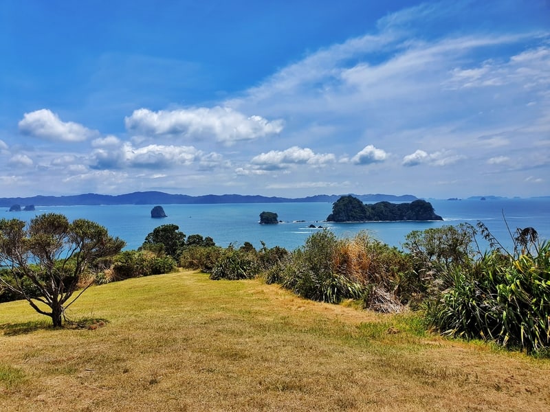 view of grass, ocean, and islands at the start of the cathedral cove walk.