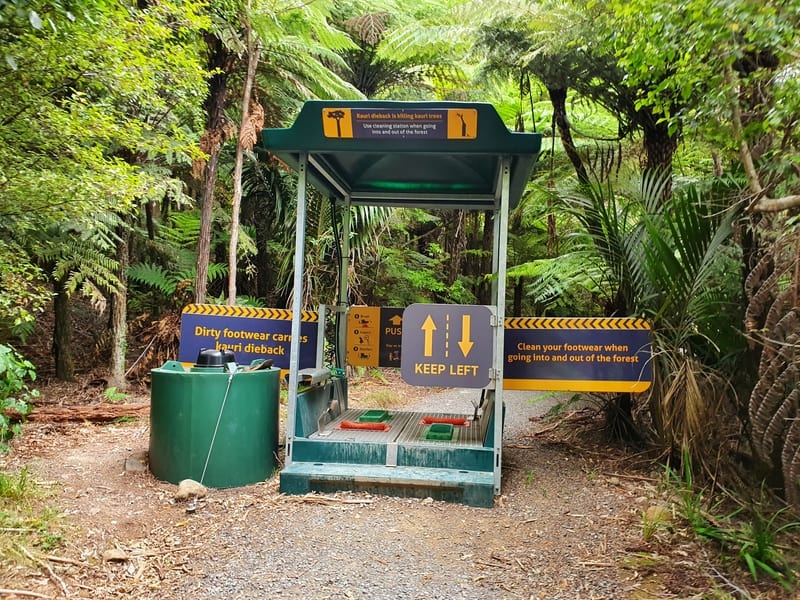 kauri dieback disease cleaning station