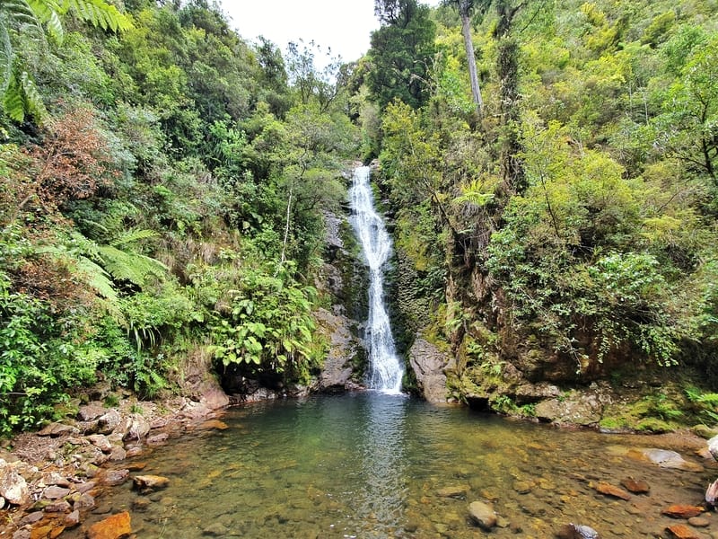 Photo of a waterfall with a swimming area at the bottom surrounded by greenery