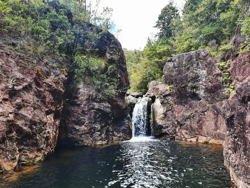 the wharekirauponga falls