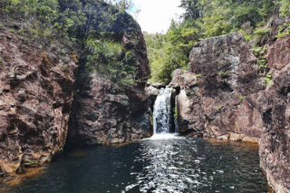 wharekirauponga