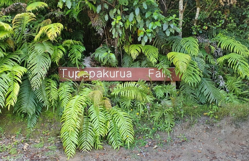trailhead sign saying tupapakurua falls