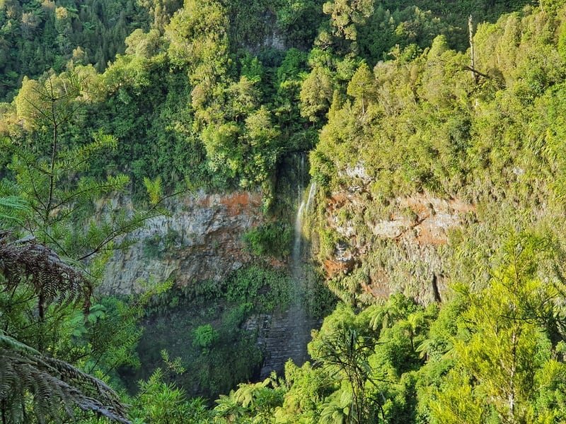 a waterfall from a tupapakurua falls lookout