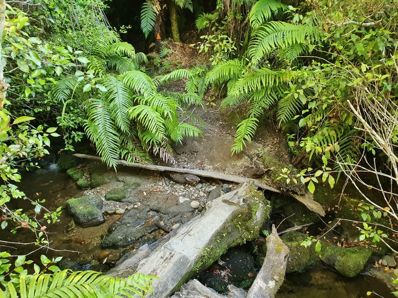 log over a stream