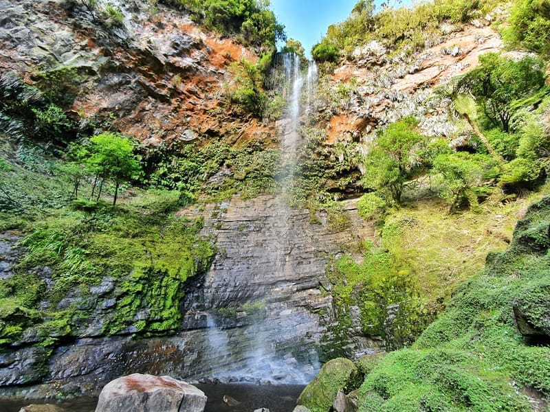 new zealand waterfalls can be hidden like this one called tupapakurua falls