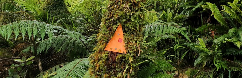 orange trail marker on a tree
