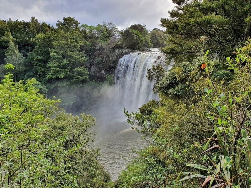 another viewpoint of rainbow falls along the kerikeri river track