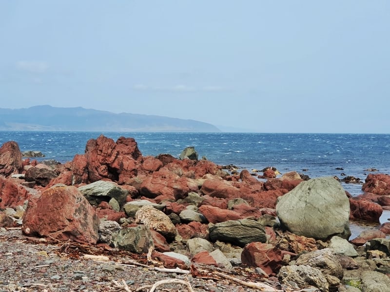 Red rocks wellington