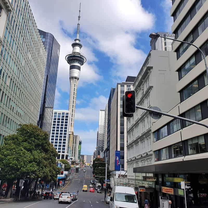 a view of the skytower on the walking tour