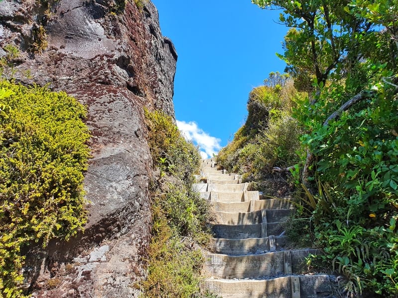 taranaki falls track stairs