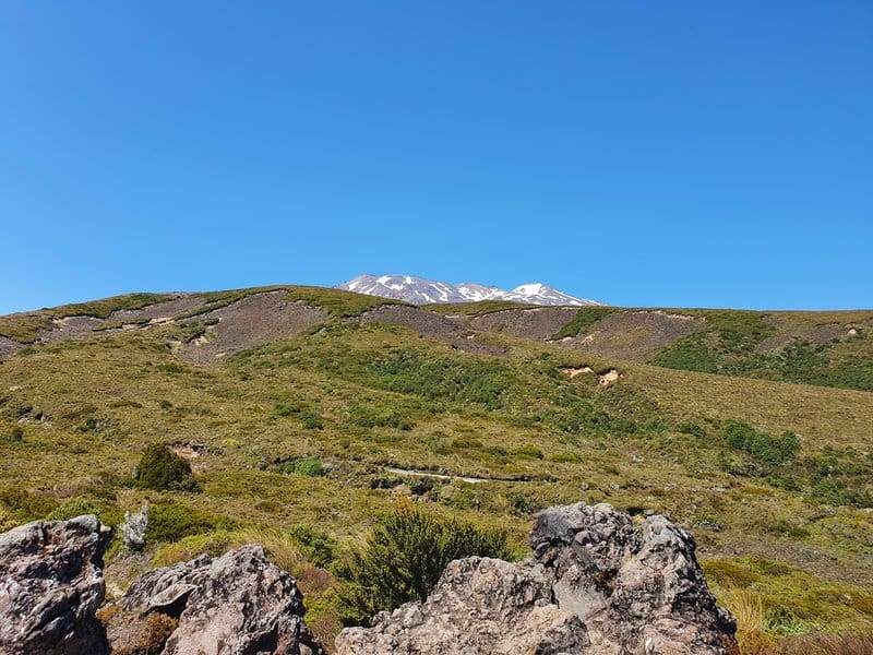 mount ruapehu behind a ridge