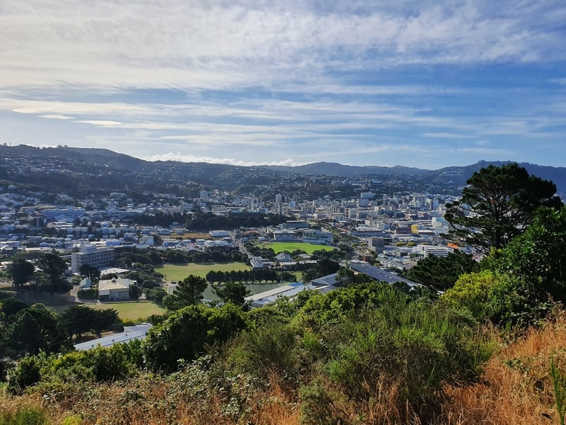 southern walkway wellington