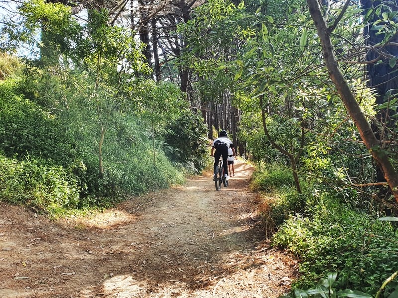 cyclist on a trail