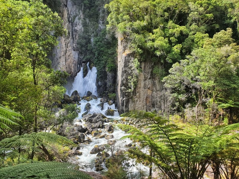 tarawera falls surrounded by trees