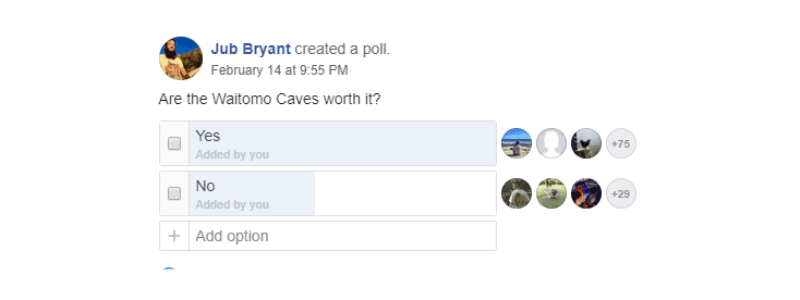 waitomo caves worth it