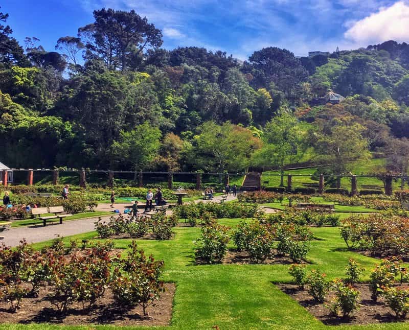 gardens in wellington