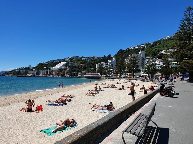 people on a beach in wellington is a common sight of things to do in wellington