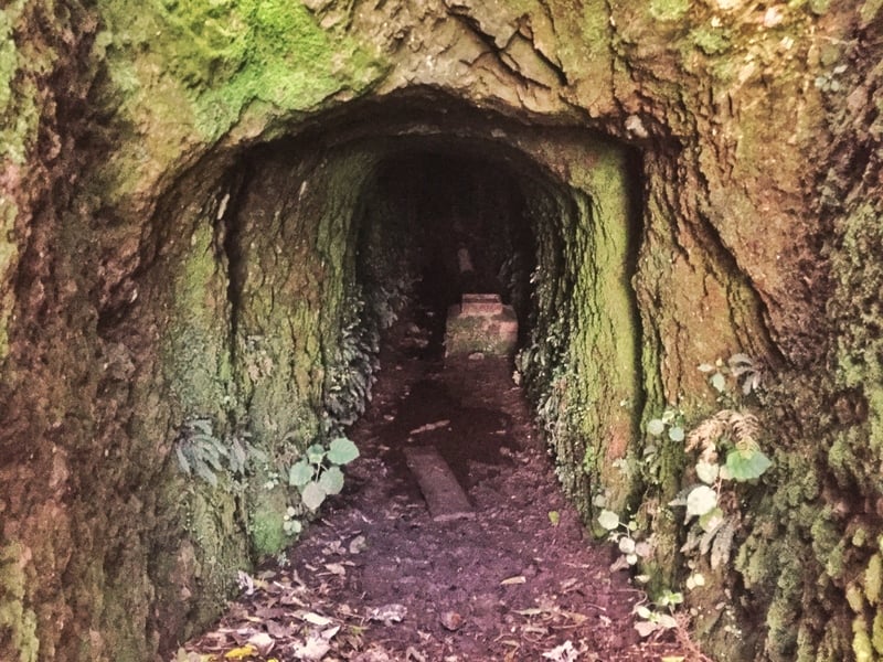 small tunnel in a hill