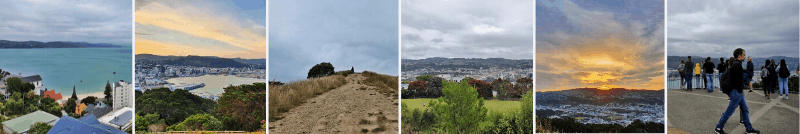 mount victoria lookout is one of the most popular walks in wellington