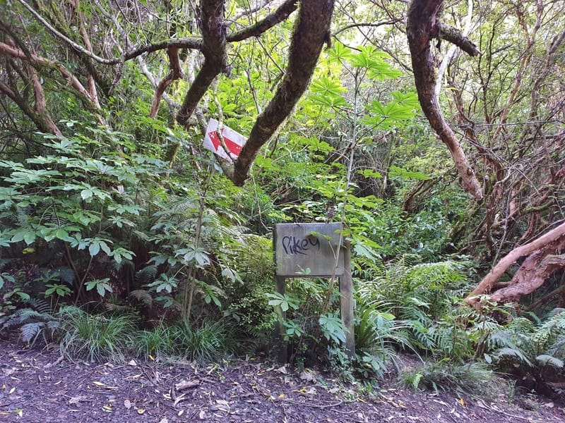 white sign with a red arrow surrounded by bush