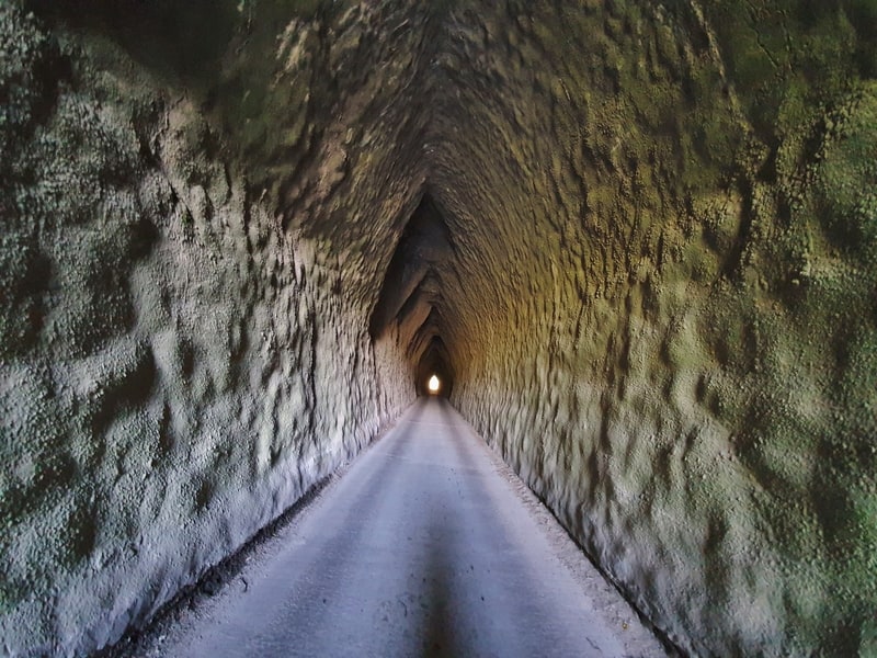 whangamomona tunnel