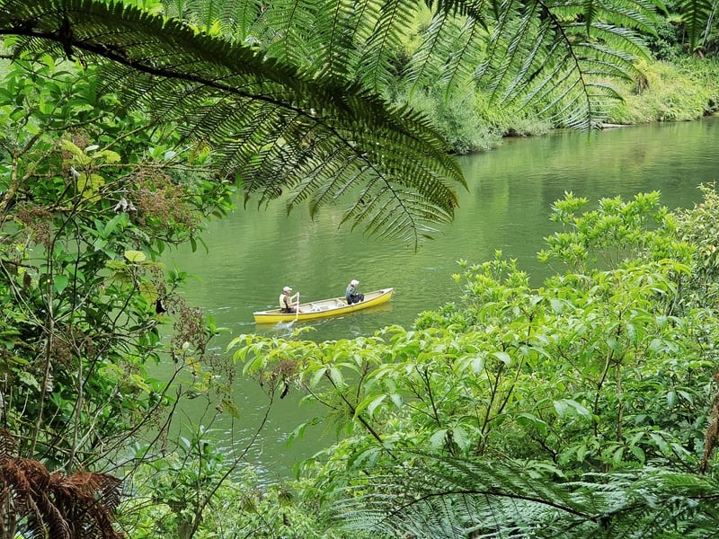 whanganui river tours
